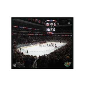  NHL Minnesota Wild Arena 16x20 Canvas Art Sports 