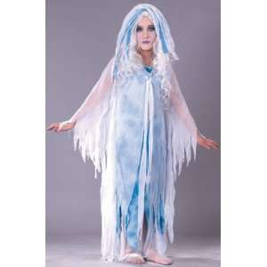  Child Spooky Spirit Ghost Costume   Small (4 6) Toys 