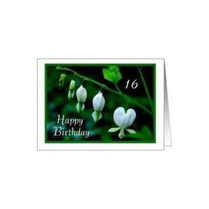  Happy Birthday to 16   White Hearts Card Toys & Games