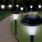   Introductions Valuable 8 Solar Accent Lighting By GARDEN CREATIONS