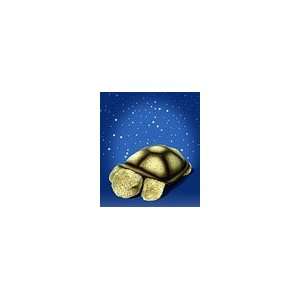   Turtle constellation nightlight   projects stars onto ceiling Baby