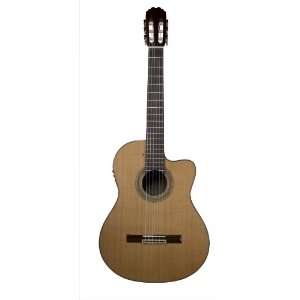 Teton Classical Acoustic Electric Guitar Solid Cedar Top Rosewood Back 