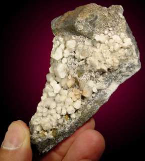 White POKER CHIP CALCITE Crystals Massachusetts  
