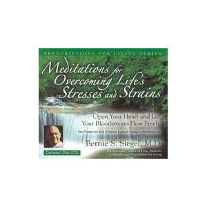  Meditations for Overcoming Lifes Stresses and Strains 