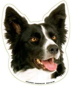   to home page bread crumb link collectibles animals dogs border collie