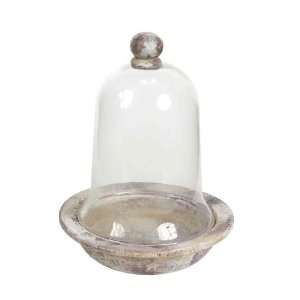  Pack of 2 Garden Getaway Decorative Glass Bell Jar Planter 