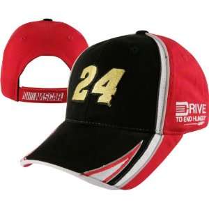  Jeff Gordon #24 Drive to End Hunger Front Stretch 