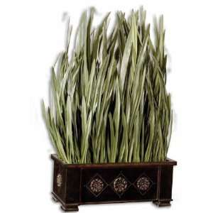   Planter Tall Foliage From Exotic Orchids English Box Planter Home