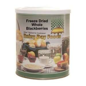 Freeze Dried Whole Blackberries #2.5 can  Grocery 