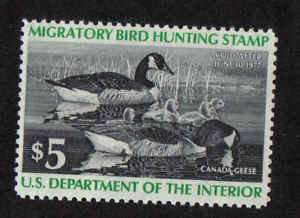 RW43 Federal Duck Stamp 1976 MNH. #02 RW43a  