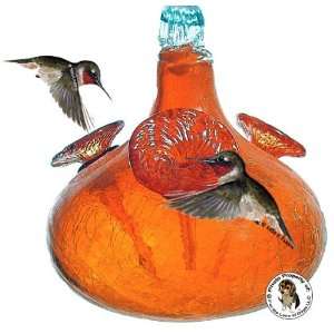  Bird Brain Orange Crackle Blown Glass Hummingbird Feeder 