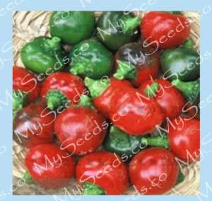 Pepper seeds   Perfect for Can & Salads~ SWEET CHERRY ~  