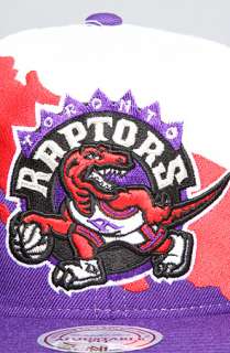 Mitchell & Ness The Toronto Raptors Paintbrush Snapback Hat in Purple 