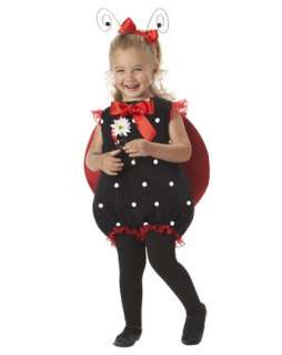 Infant Toddler Lil Lady Bug Costume  Infant/Toddler Bee/Bug/Butterfly 