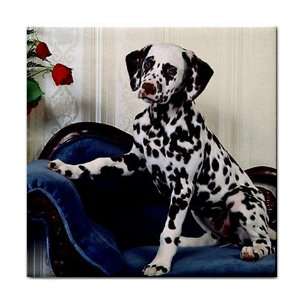  Dalmation puppy dog Ceramic Tile Coaster Great Gift Idea 