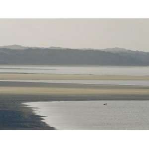  Australian Pelican Dwarfed by Tidal Mud Flat National 