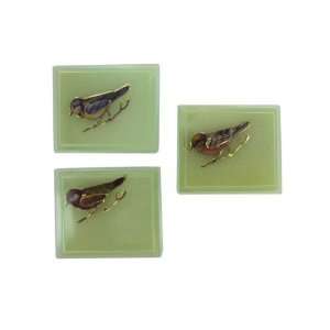  bird fashion pin   Pack of 96