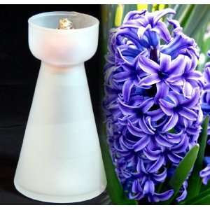   Frosted White Hyacinth Vase + Blue Hyacinth Bulb Patio, Lawn & Garden