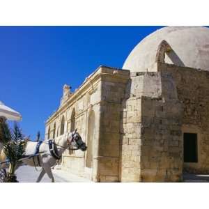  Horse Drawn Carriage and Turkish Mosque, Hania (Chania 