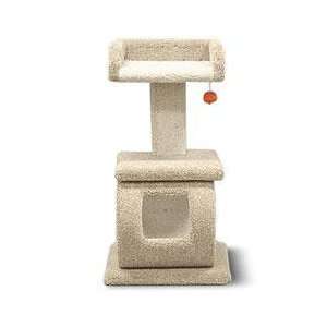   Pet Carpeted Cat Play Tunnel with Shelf and Ball