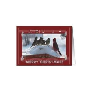 New Address, Merry Christmas, Cardinal Singing with the Sparrows Card 
