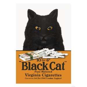 Black Cat Pure Matured Virginia Cigarettes Animals Giclee Poster Print 