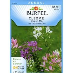  Burpee 43612 Cleome Queen Mix Seed Packet Patio, Lawn 