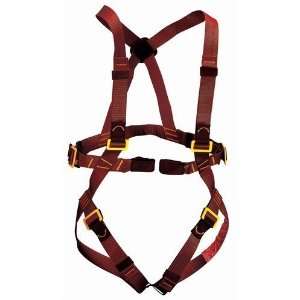    Camp Mickey Fast Childrens Climbing Harness