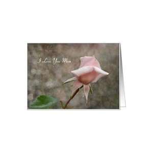  Mothers Day Mom   Pink Rose Bud Card Health & Personal 