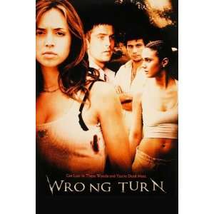 Turn Poster Movie C (11 x 17 Inches   28cm x 44cm) Desmond Harrington 