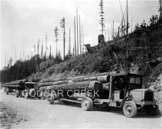 1920 Two Packard Logging Trucks Loaded With Douglas Fir Logs 