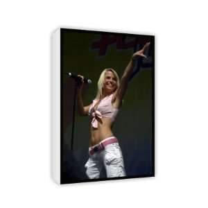  Sarah Harding   Canvas   Medium   30x45cm