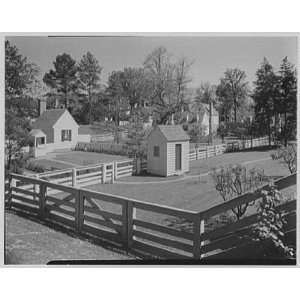   Virginia, Tayloe house. Rear garden from Nicholson St. I 1959 Home