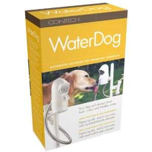   Automatic Outdoor Pet Drinking Fountain for Dogs 
