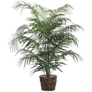   Potted Extra Full Dwarf Palm Tree in Brown Pot