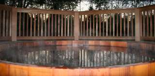 Cedar Wood Hot Tub  Propane or Natural Gas   seats 8  