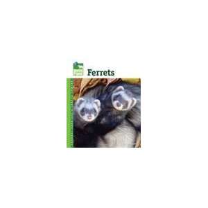  Ferrets