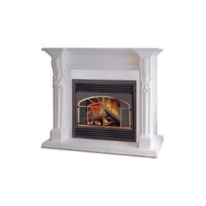   Fireplace Model/Facing BGD36/EF36H with Wood Facing