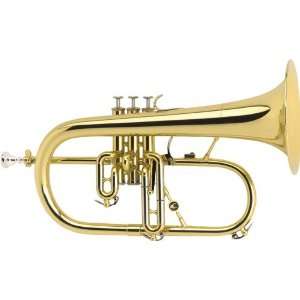   AC154 1 0 Professionel Bb Flugelhorn, Lacquer Musical Instruments