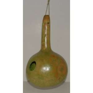 Birdhouse Gourd #9