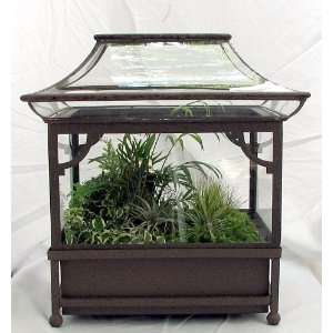 Asian Tabletop Terrarium complete with Grocery & Gourmet Food