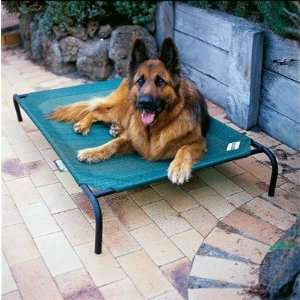  Elevated Dog Bed for Large Breeds Color Brunswick Green 
