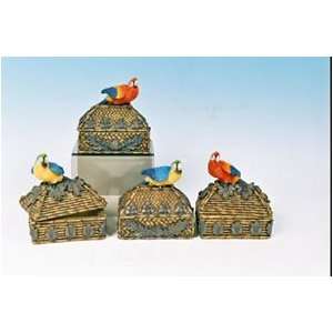   Resin Macaw Trinket Box 5in Assorted Sold Individually