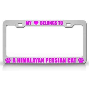 MY HEART BELONGS TO A HIMALAYAN PERSIAN Cat Pet Auto License Plate 