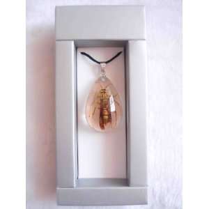  Brand New Real Bugs Necklaces With Wasp Lucite Pendant 