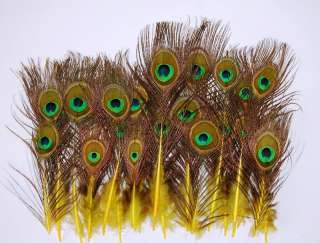 25 Pcs MINI PEACOCK Feathers YELLOW 2 9 Pads/Trim/Hat  