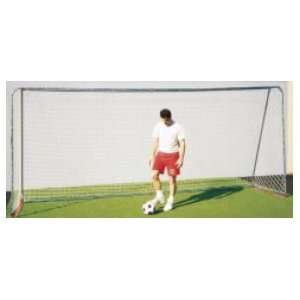  Limited Area Soccer Goal (Max)