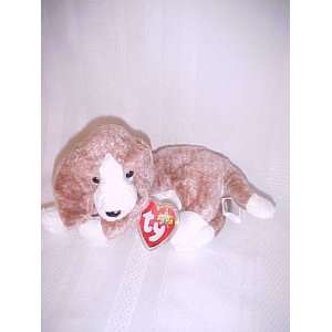  Sniffer   Beanie Baby Case Pack 12 